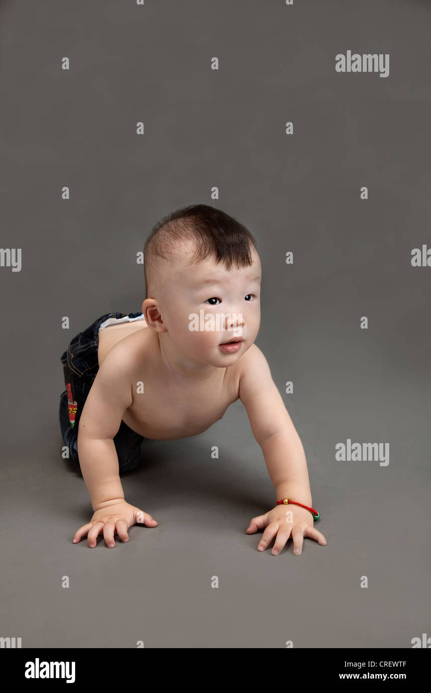 18alerte Mois Bebe Chinois Avec Une Coupe De Cheveux Des Garcons Typiques Ramper En Avant Photo Stock Alamy 18alerte Mois Bebe Chinois Avec Une Coupe De Cheveux Des Garcons Typiques Ramper En Avant Photo Stock Alamy