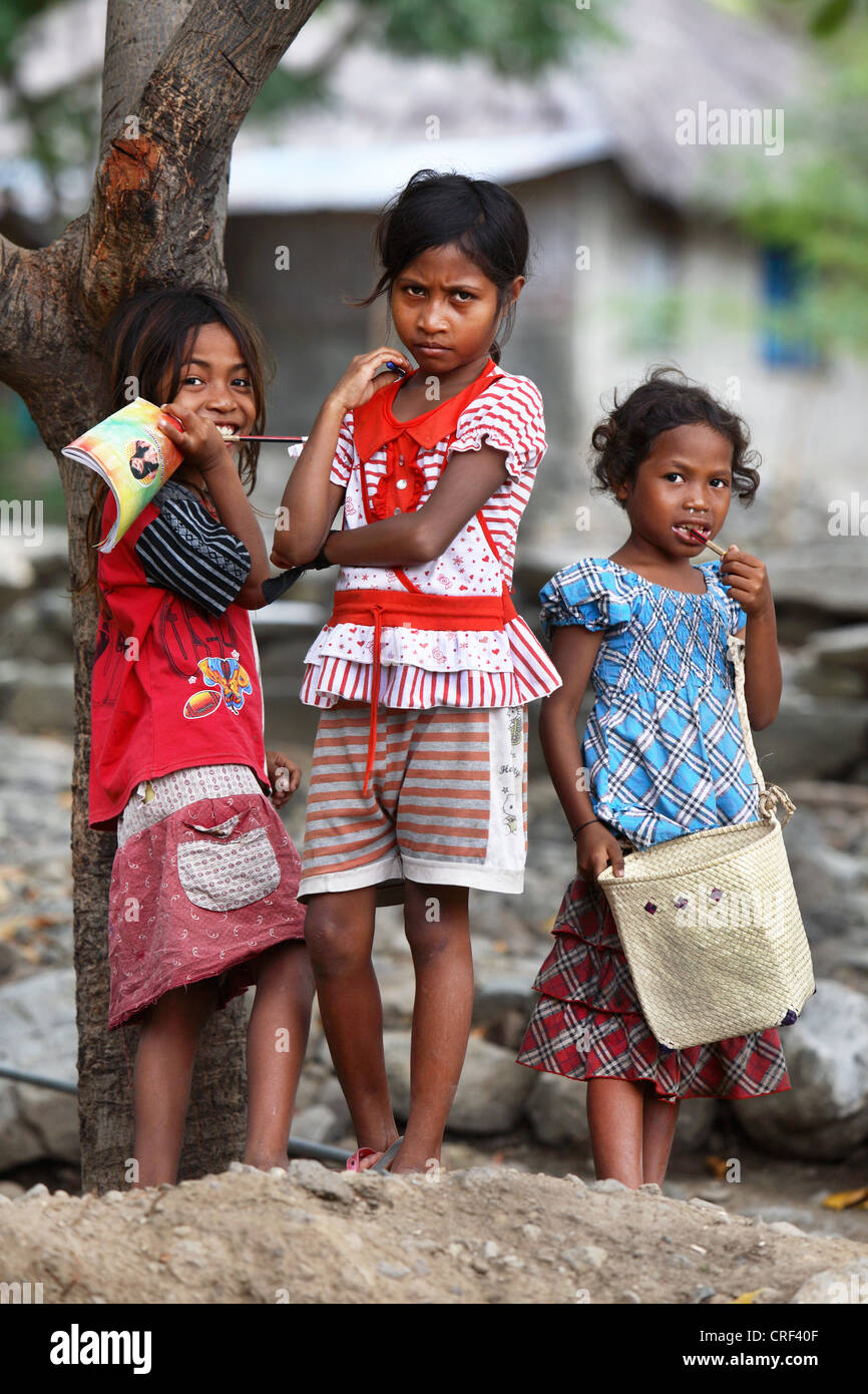 Enfants timorais sur île Atauro. Le Timor oriental. Banque D'Images