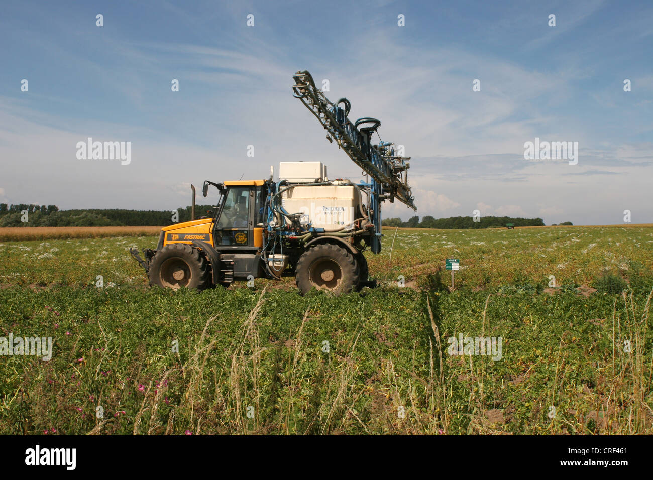 Mission chimique sur un champ de pommes de terre, le Mecklembourg Banque D'Images