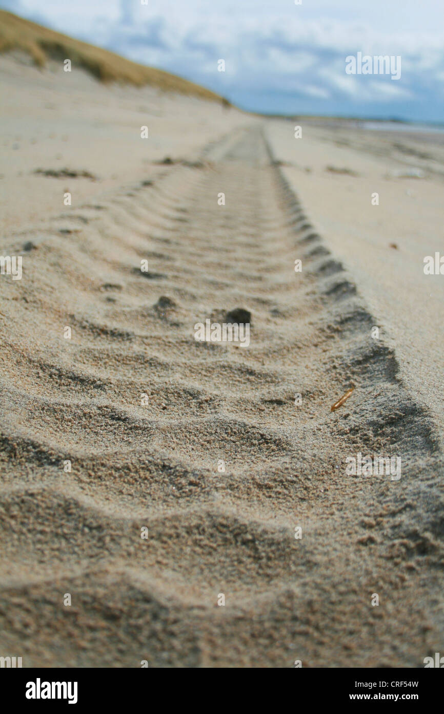 Piste de roue dans le sable à la plage, Pays-Bas Banque D'Images