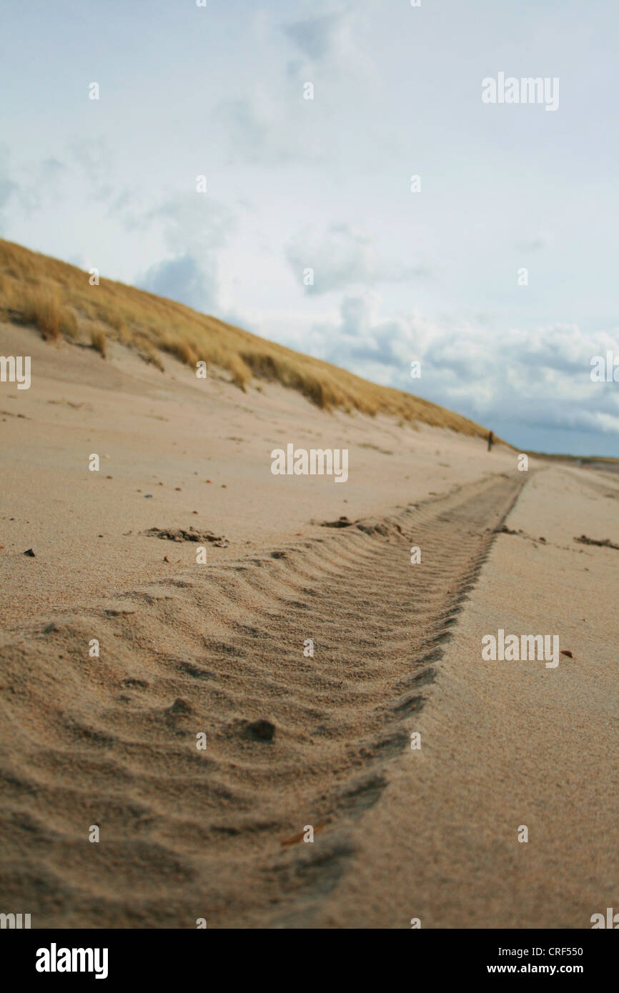 Piste de roue dans le sable à la plage, Pays-Bas Banque D'Images
