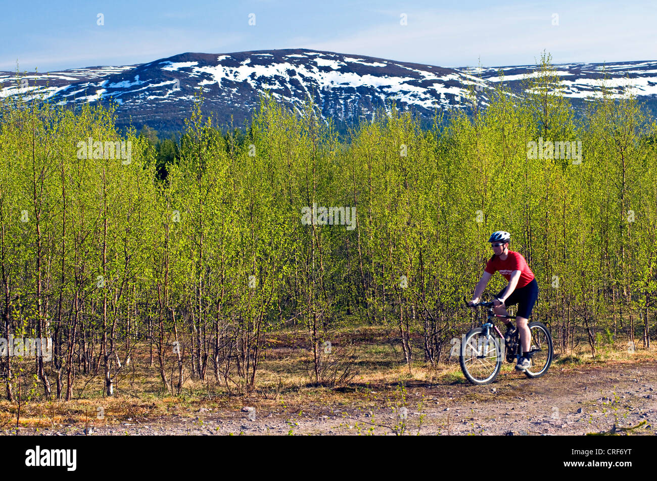 Mountainbiker à Gaellivare, Suède, Laponie Banque D'Images