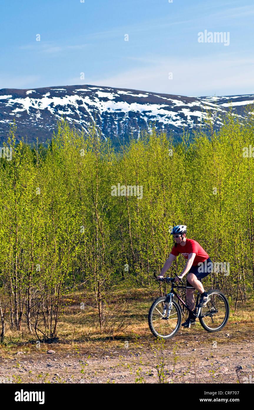 Mountainbiker à Gaellivare, Suède, Laponie Banque D'Images