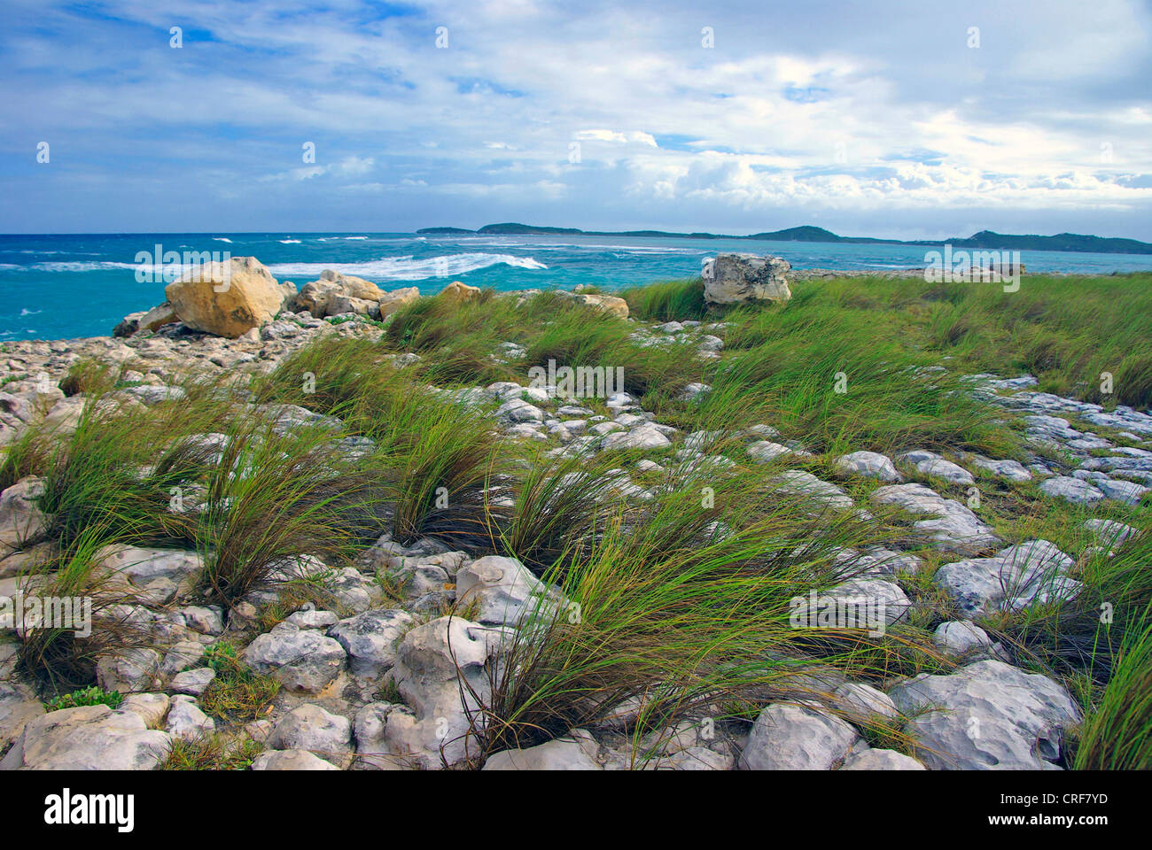 Indian Town Point, East Coast, Antigua-et-Barbuda, la mer des Caraïbes, l'île de vent Banque D'Images