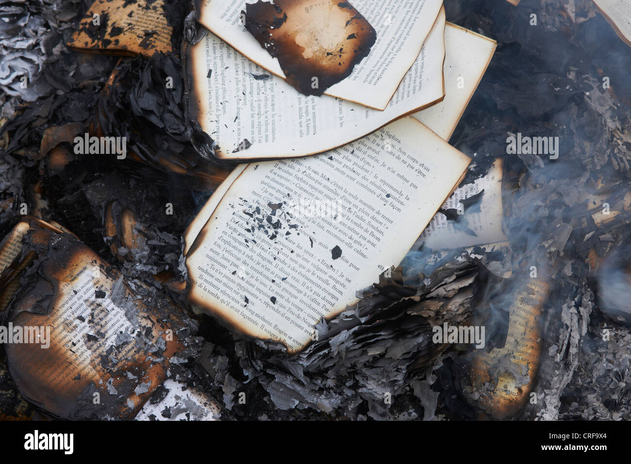 Livres brûler dans le feu Banque D'Images