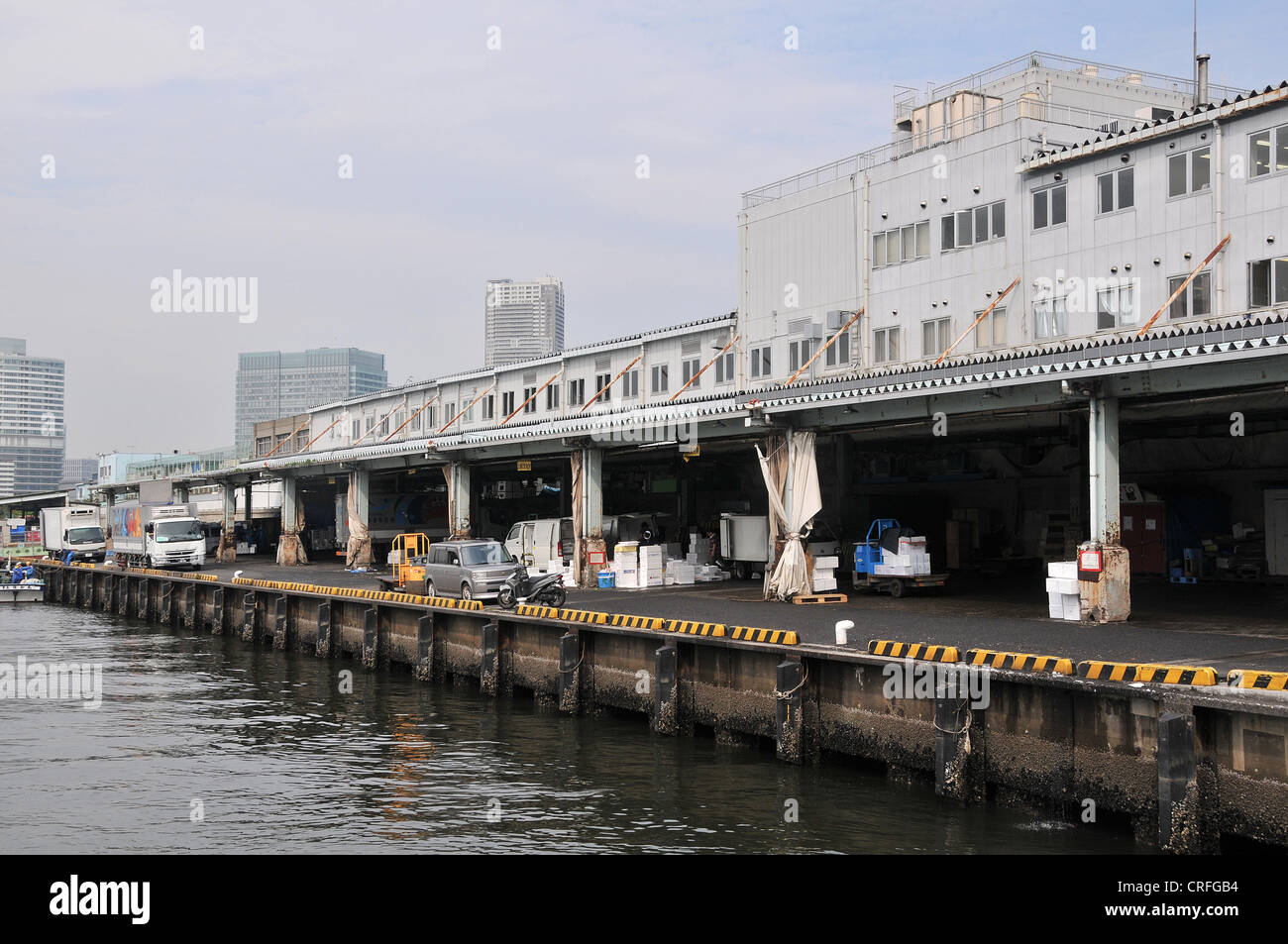 Le marché aux poissons de Tsukiji, Tokyo, Japon, Asie Banque D'Images