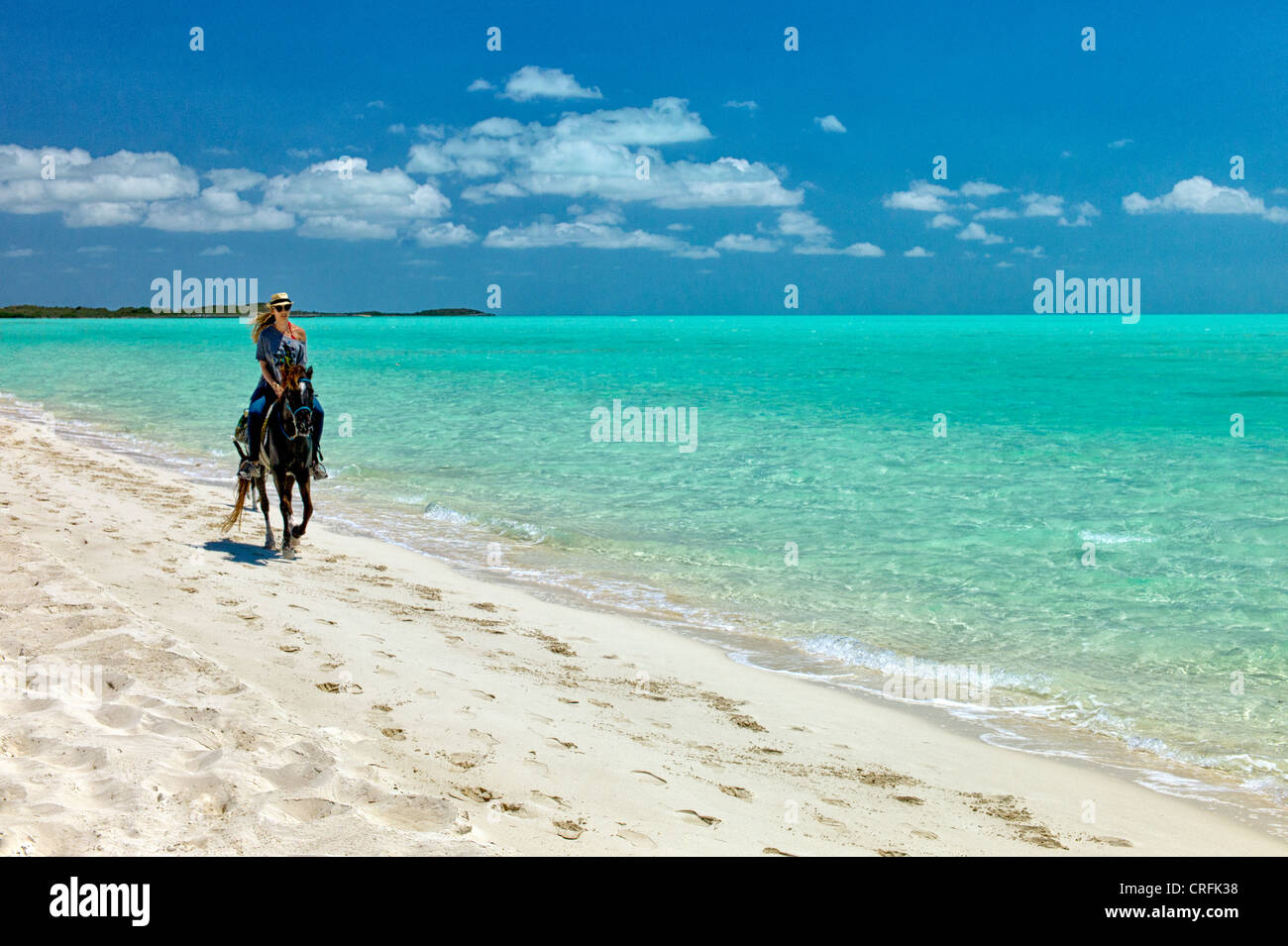 Horse Rider troting sur plage. Providenciales. Îles Turques et Caïques.. Banque D'Images