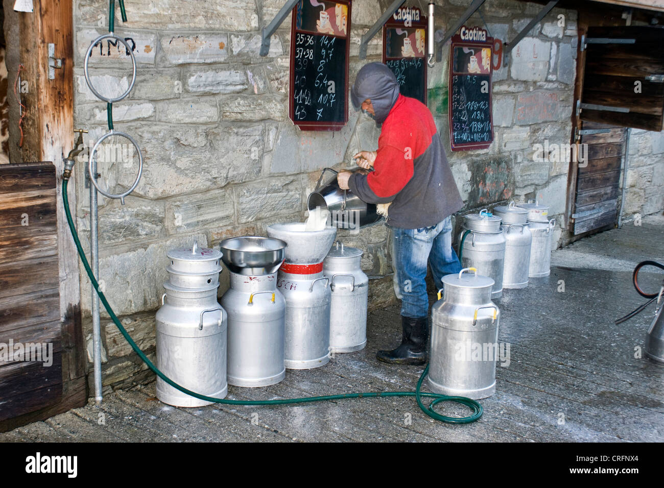 La production de fromage traditionnel ; filtrage de lait, Suisse, Valais, Zermatt, Taeschalp Banque D'Images