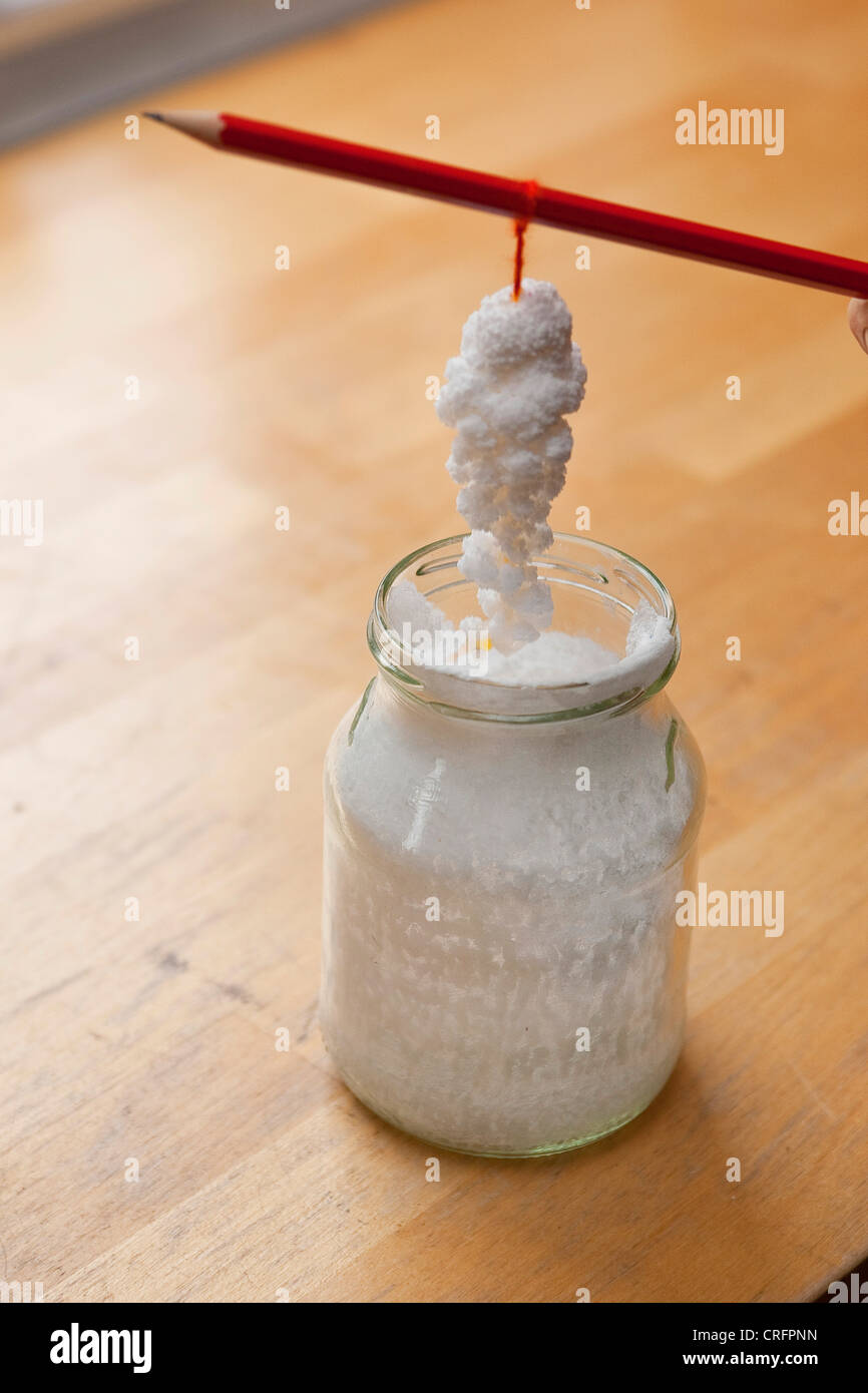 Self-made-cristaux, étape 5 : solution de sel cristallisé à laine Banque D'Images