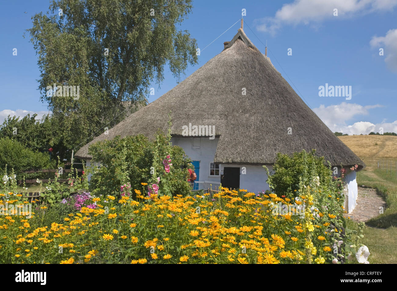 Pfarrwitwenhaus, Allemagne, Mecklembourg-Poméranie-Occidentale, de la mer Baltique, Ruegen Banque D'Images