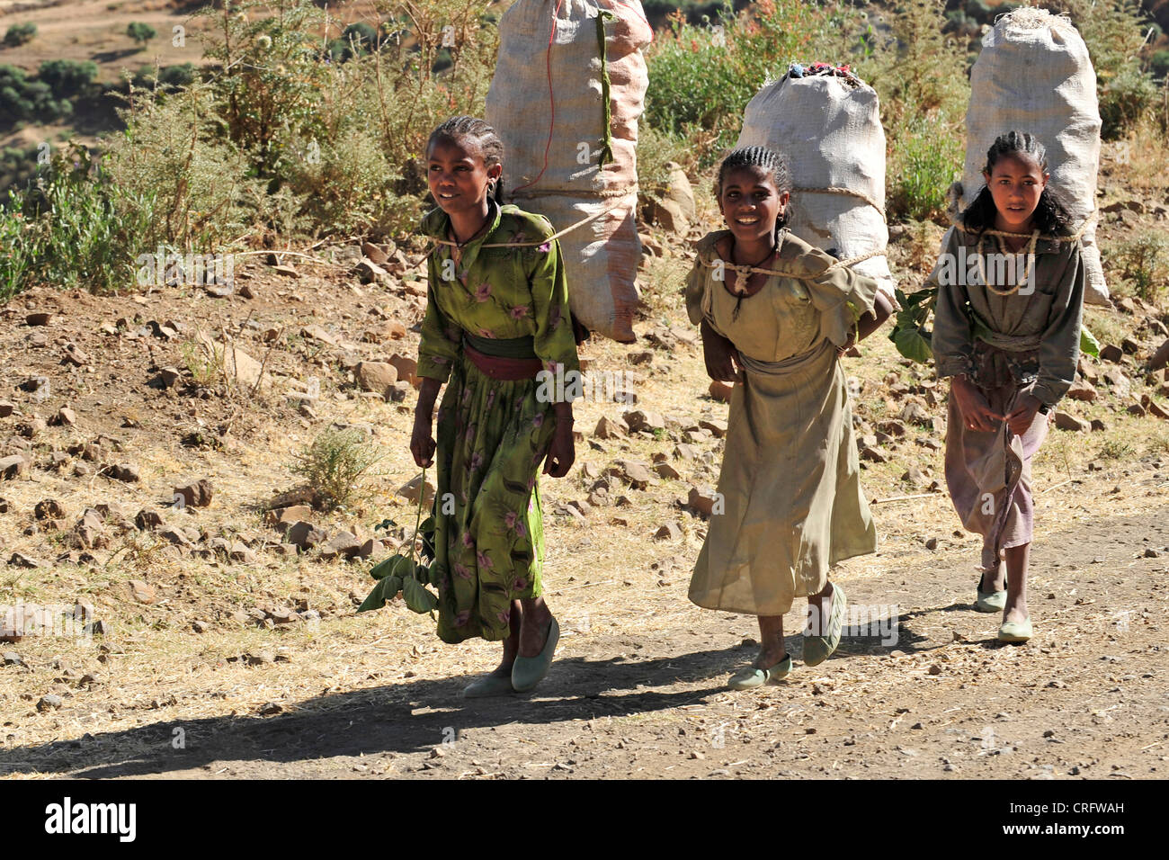 Trois filles piggyback sacs, Ethiopie Banque D'Images