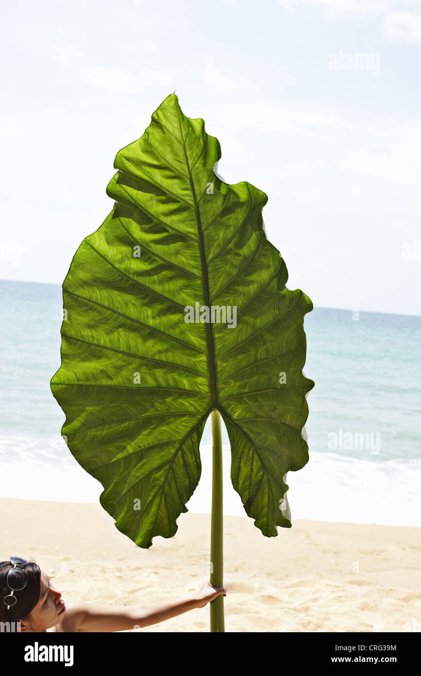 Femme tenant des feuilles surdimensionnées on beach Banque D'Images