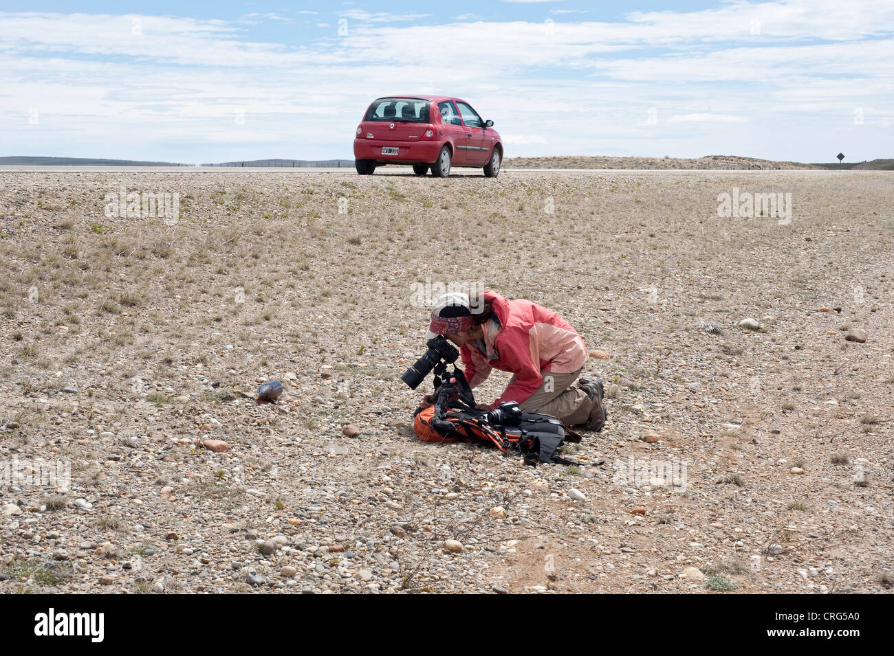 Claudia biologiste Marcela Guerrido a photographier des plantes sur la steppe de Patagonie à côté de route 40 Argentine Amérique du Sud Banque D'Images