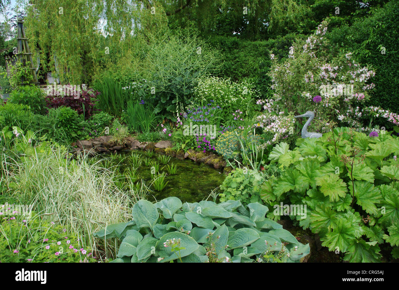 Étang de jardin entourée d'arbustes avec heron modèle au premier plan Banque D'Images