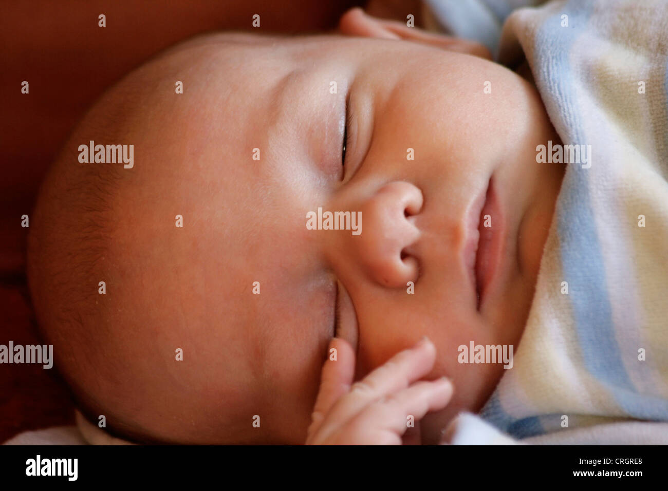 Chef d'un mignon bébé endormi, Allemagne Banque D'Images