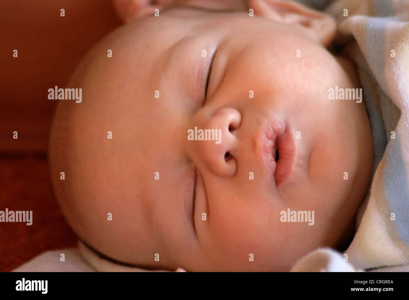 Tête d'un mignon bébé rêve Banque D'Images