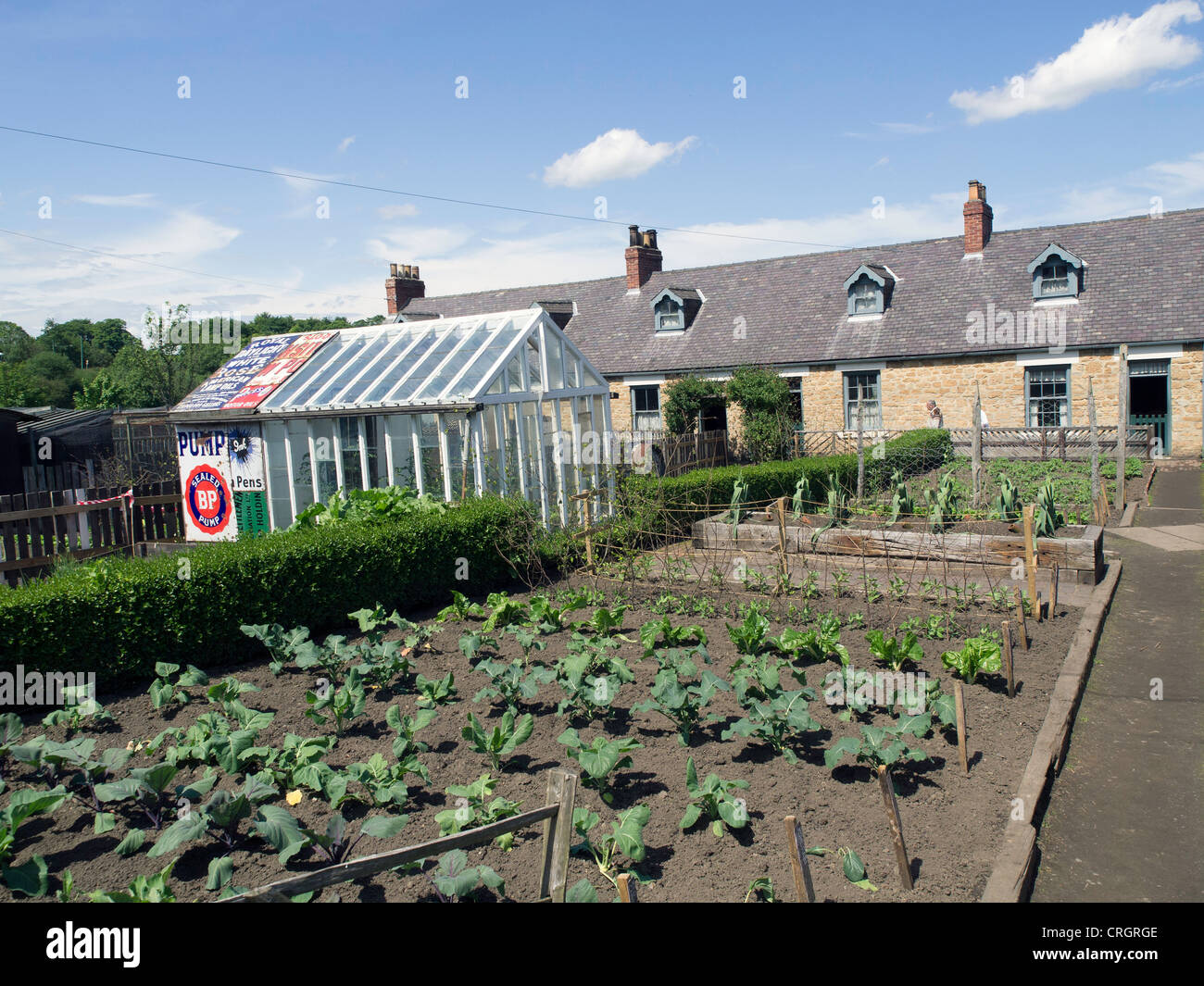 Une rangée de miner's cottages avec jardins potagers dans la fosse commune à Beamish Museum de la vie des habitants du Nord Banque D'Images