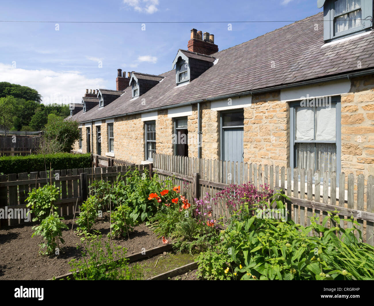 Une rangée de miner's cottages avec jardins potagers dans la fosse commune à Beamish Museum de la vie des habitants du Nord Banque D'Images
