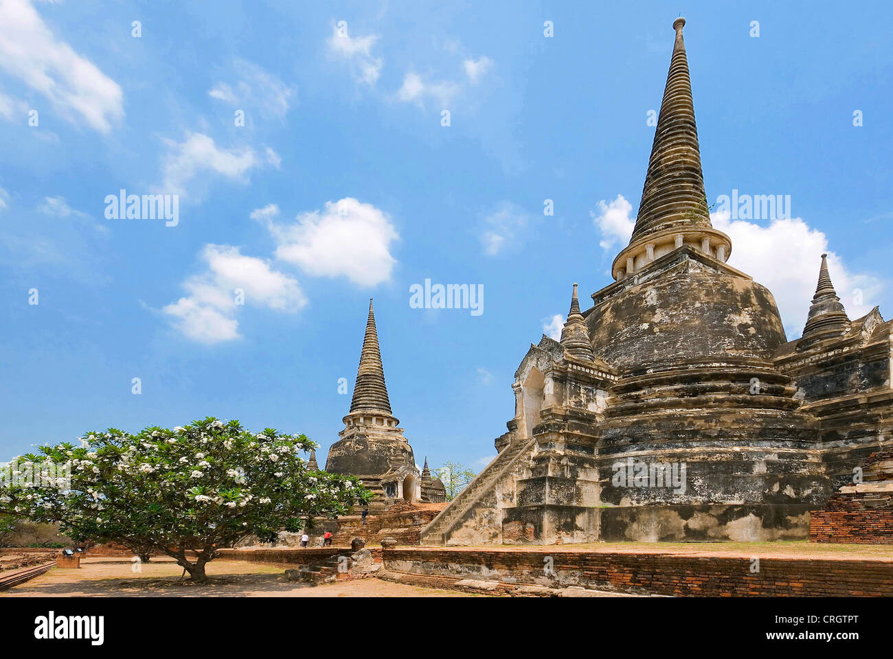 Ayuthaya - Wat Phra Si Sanphet temple, Thaïlande, Bangkok Banque D'Images