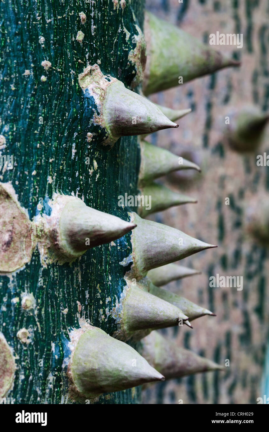 Résumé Banque D'Images