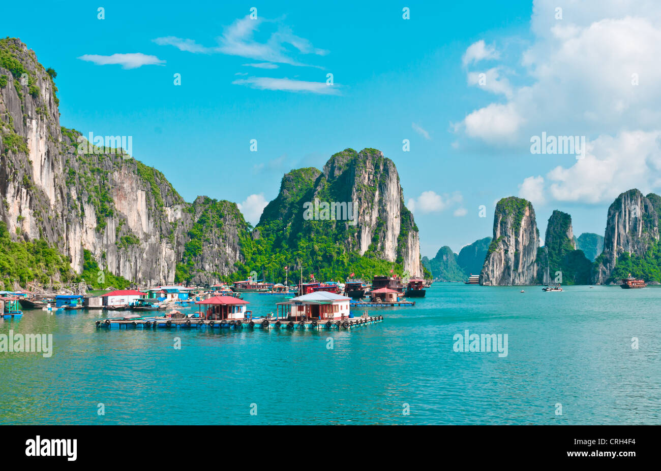 Village flottant dans la baie d'Halong Banque D'Images