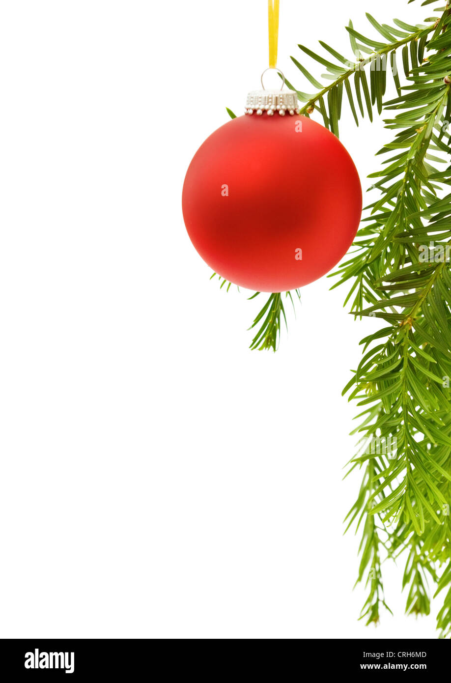 Carte de vœux de Noël avec festive frontière avec babiole rouge et traditionnel pin arbre branche. Isolé sur fond blanc. Banque D'Images