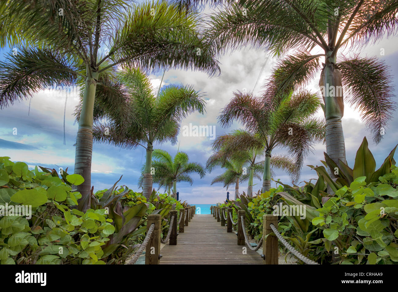 Voie promenade et palmiers. Grace Bay. Providenciales. Îles Turques et Caïques. Banque D'Images