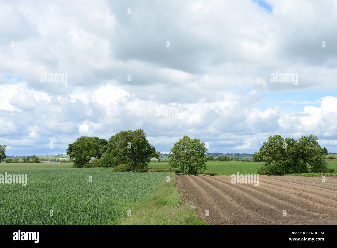La partie champ labouré sur une ferme dans le comté de Durham Banque D'Images La partie champ labouré sur une ferme dans le comté de Durham Banque D'Images