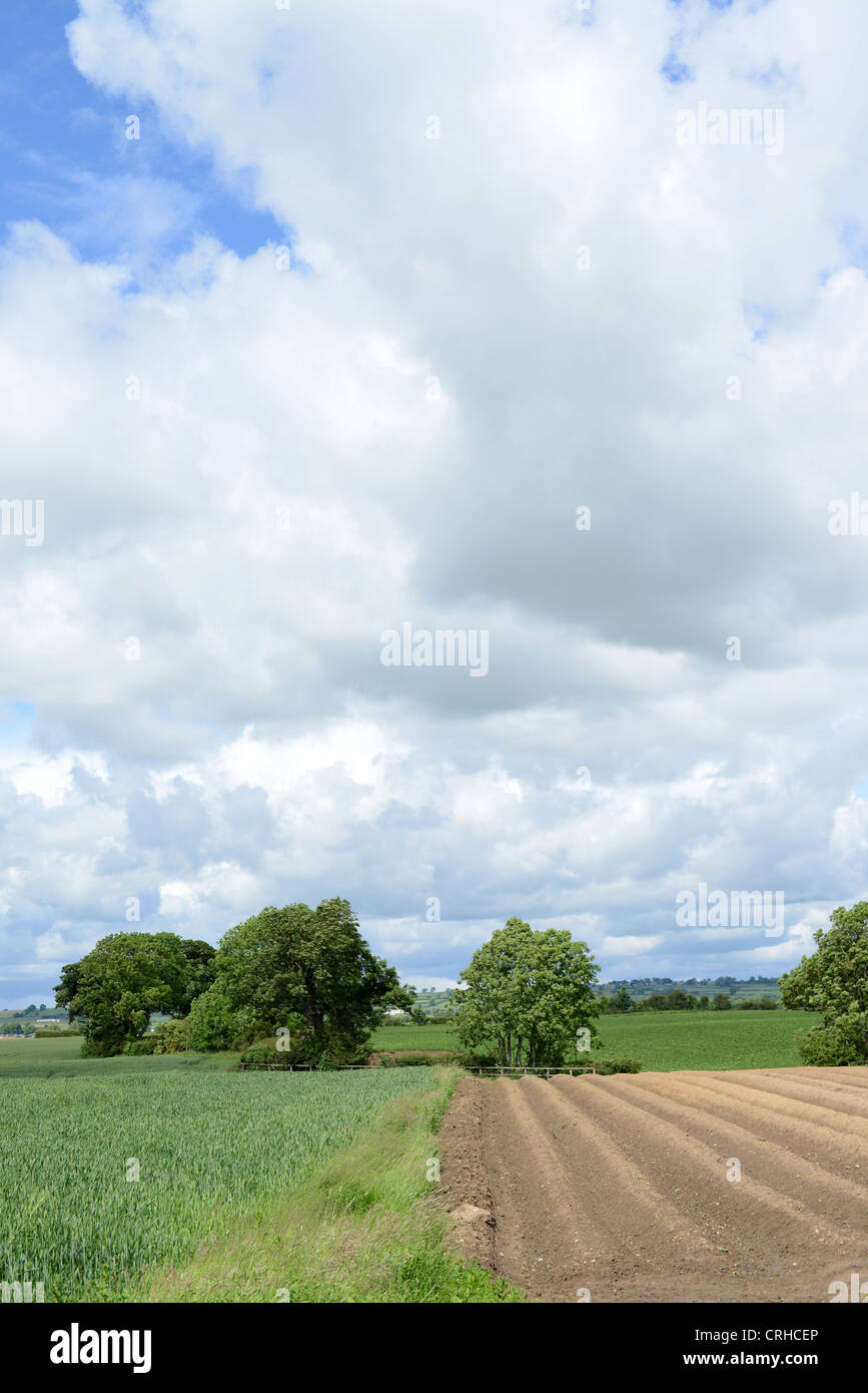La partie champ labouré sur une ferme dans le comté de Durham Banque D'Images La partie champ labouré sur une ferme dans le comté de Durham Banque D'Images