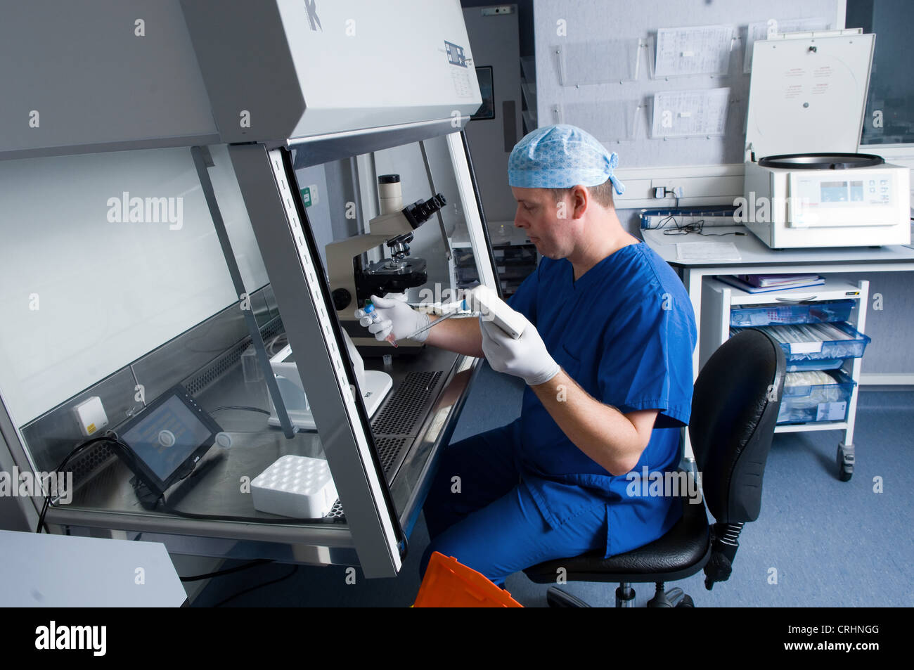 Fertiliser un ovule Technicien de laboratoire Banque D'Images