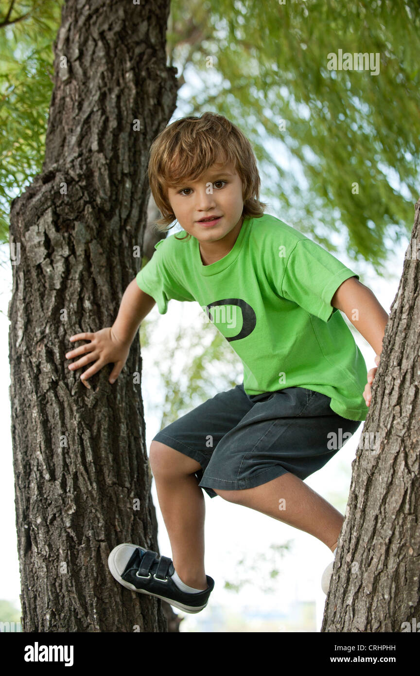 Boy climbing tree Banque D'Images