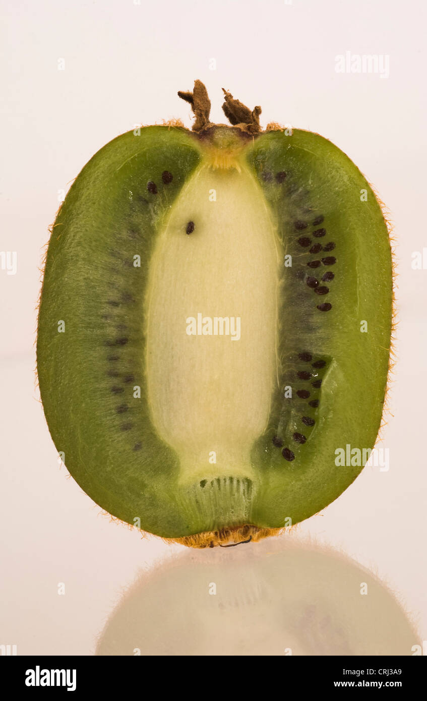 Tranches de kiwi. Le kiwi est une riche source de vitamine C et contient des vitamines A et E. Banque D'Images