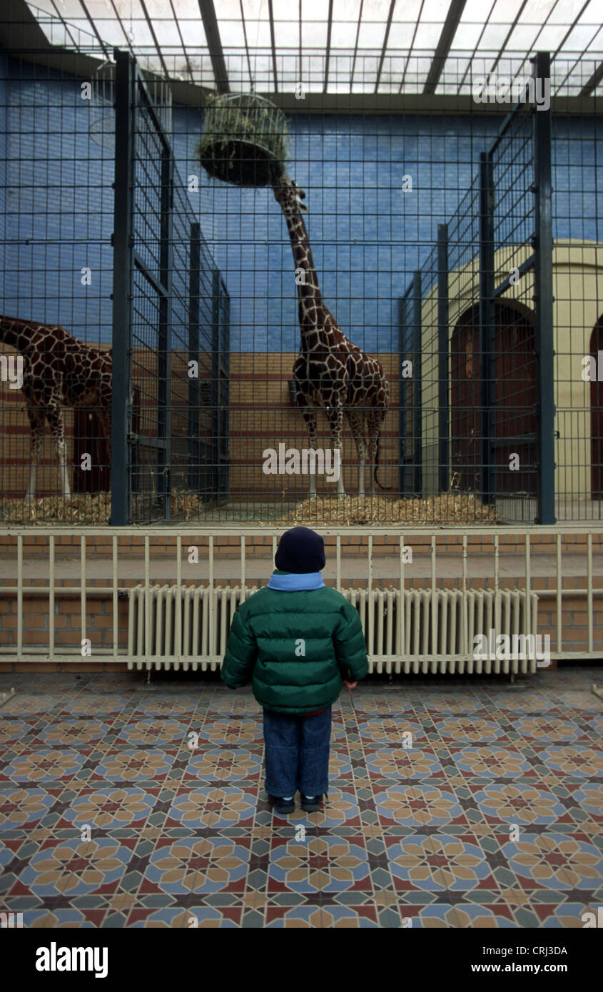 Différentes perspectives dans le zoo de Berlin Banque D'Images
