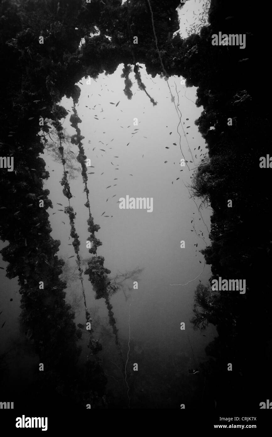 Vue à travers le derrick de l'épave du Chuyo Maru, un 272 pieds (83m) cargo japonais attaqué par les forces américaines Banque D'Images