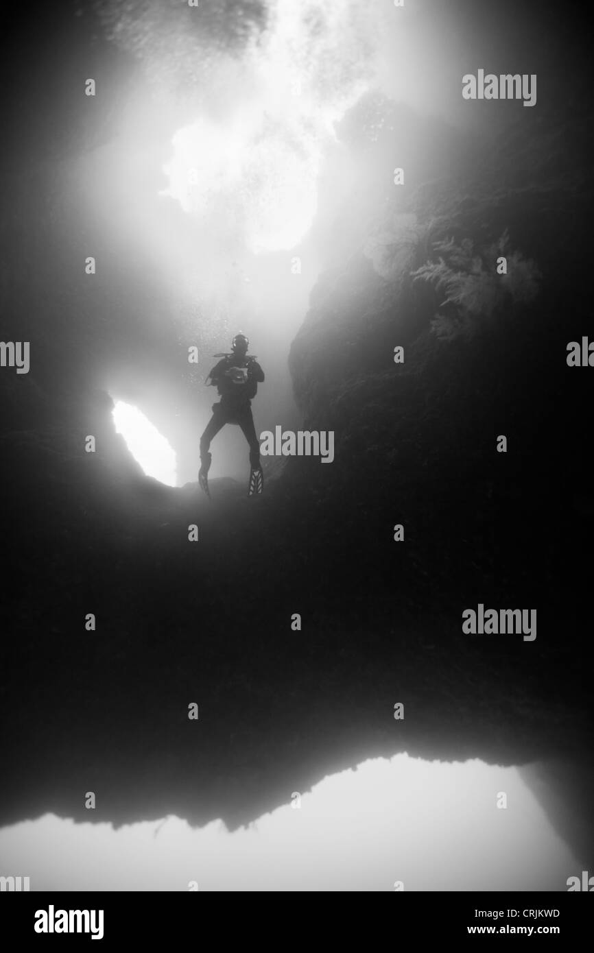 Scuba Diver en ordre décroissant dans le centre de plongée Blue Holes au large des îles de Palau en Micronésie. Banque D'Images