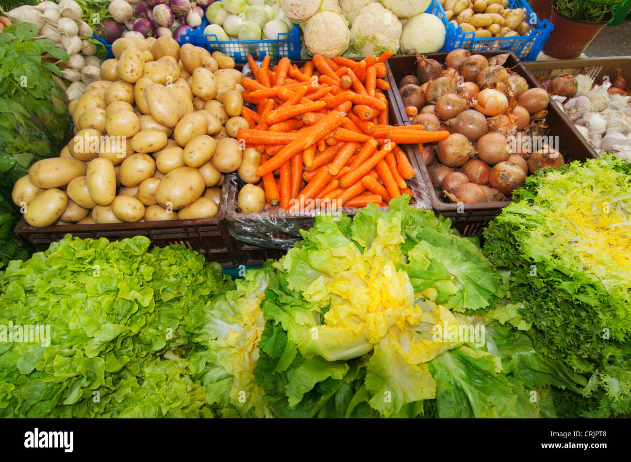 Salade et légumes au marché hebdomadaire, France, Languedoc-Roussillon, Saint Gilles Banque D'Images