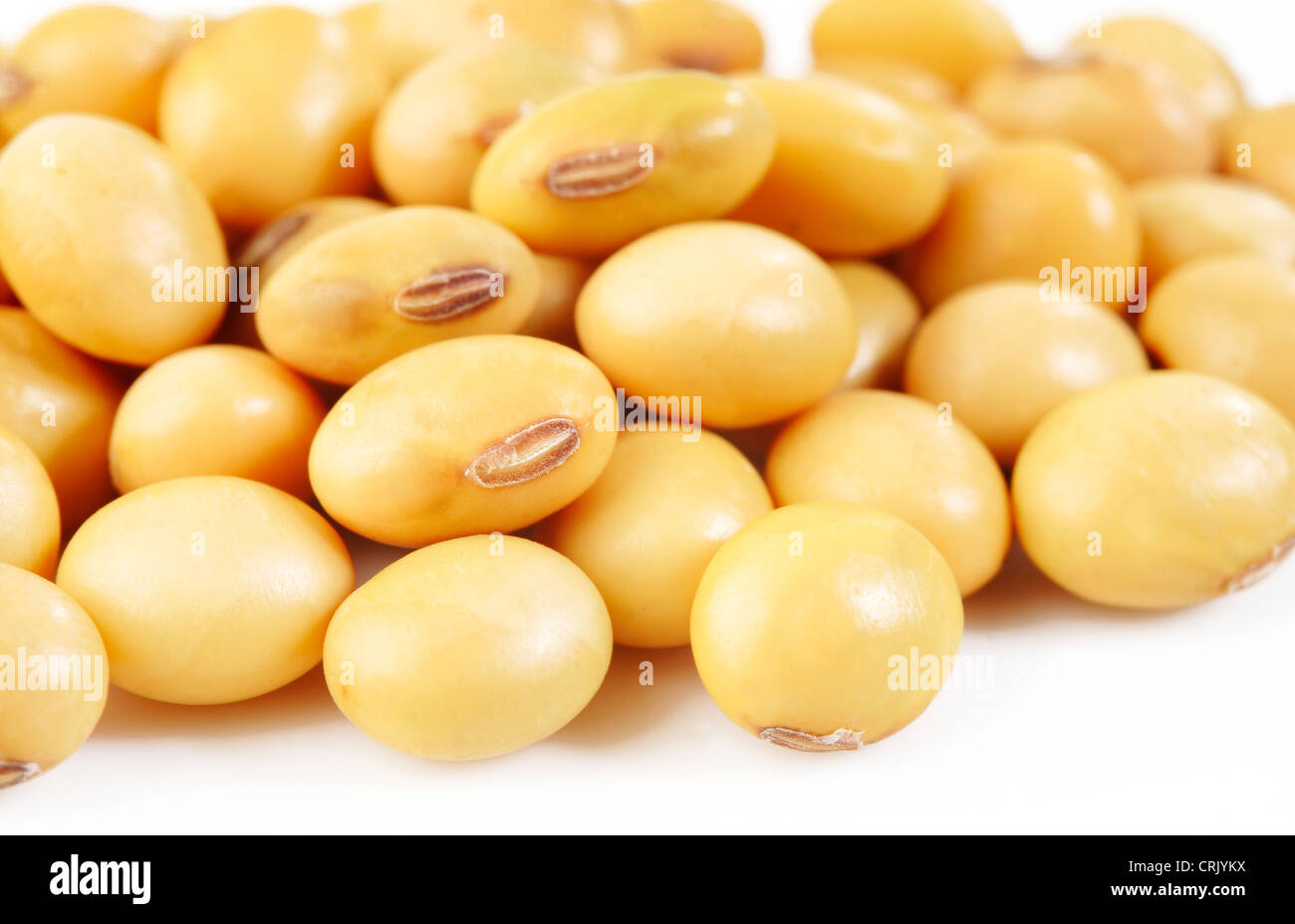 Close up le soja Banque D'Images