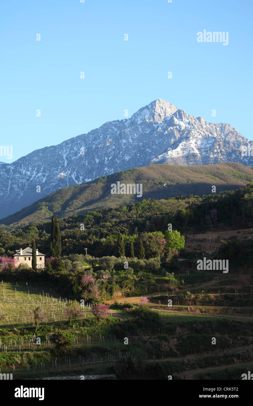 Les terres agricoles sous les pentes du Mont Athos en Grèce. Banque D'Images