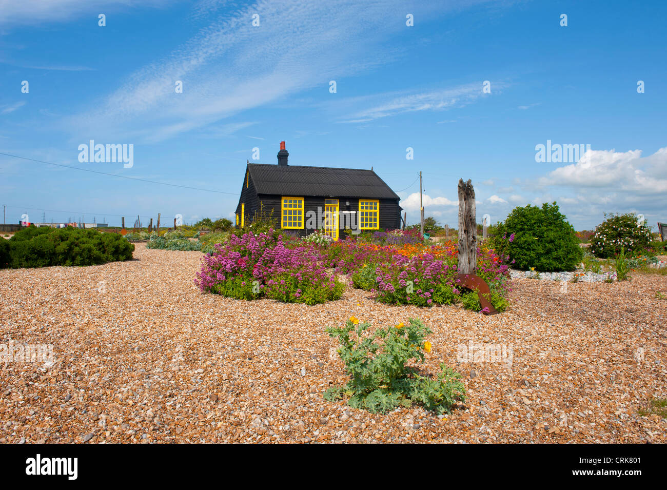 Perspective Cottage et jardin qui appartenait à Derek Jarman sur la plage à Dungeness, Kent, UK Banque D'Images