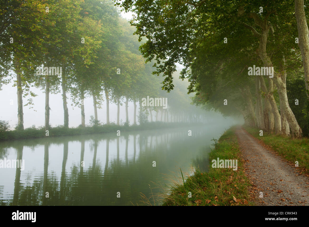 Le Canal du Midi, nr Castelnaudary, Midi-Pyrénées, France Banque D'Images