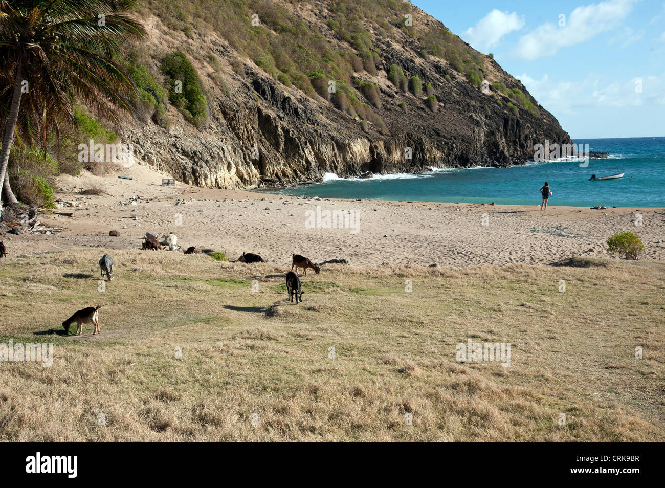 Rodrigue plage Caraïbes Guadeloupe Français Les Saintes Banque D'Images