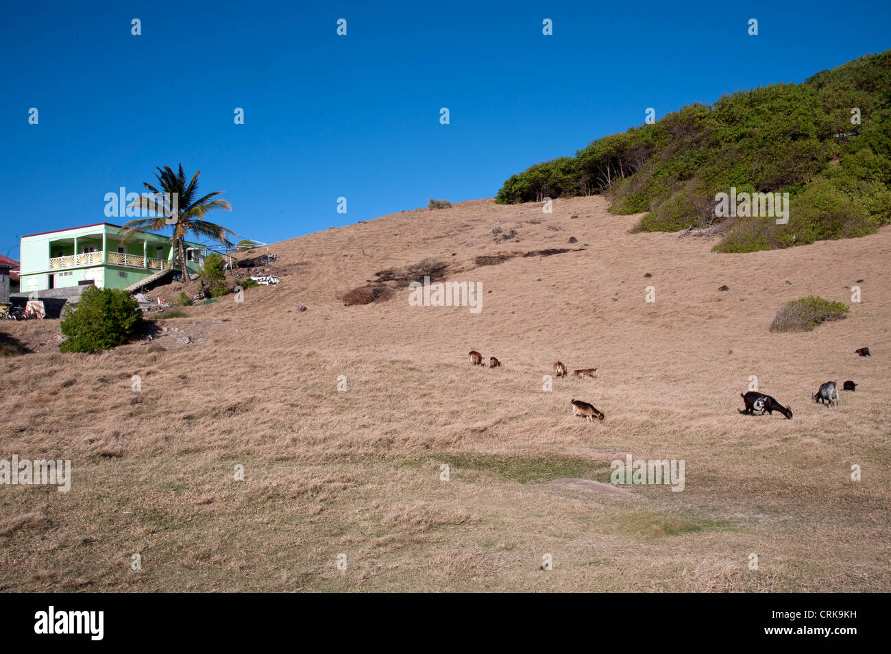 Rodrigue plage Caraïbes Guadeloupe Français Les Saintes Banque D'Images