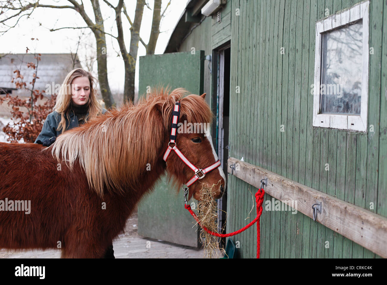 Woman feeding horse en plein air Banque D'Images