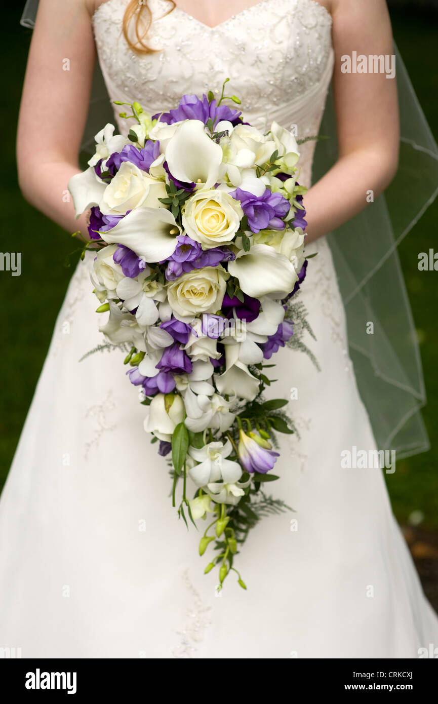 Une large bride holding bouquet de mariage de larme avec fleurs violettes y compris les roses rose lys lys freesia Banque D'Images
