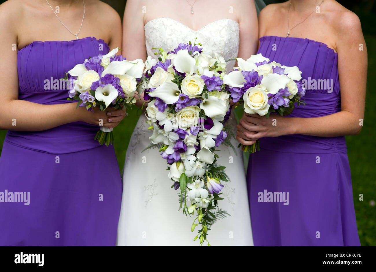 Mariée et demoiselles avec pourpre bouquets de mariage Banque D'Images