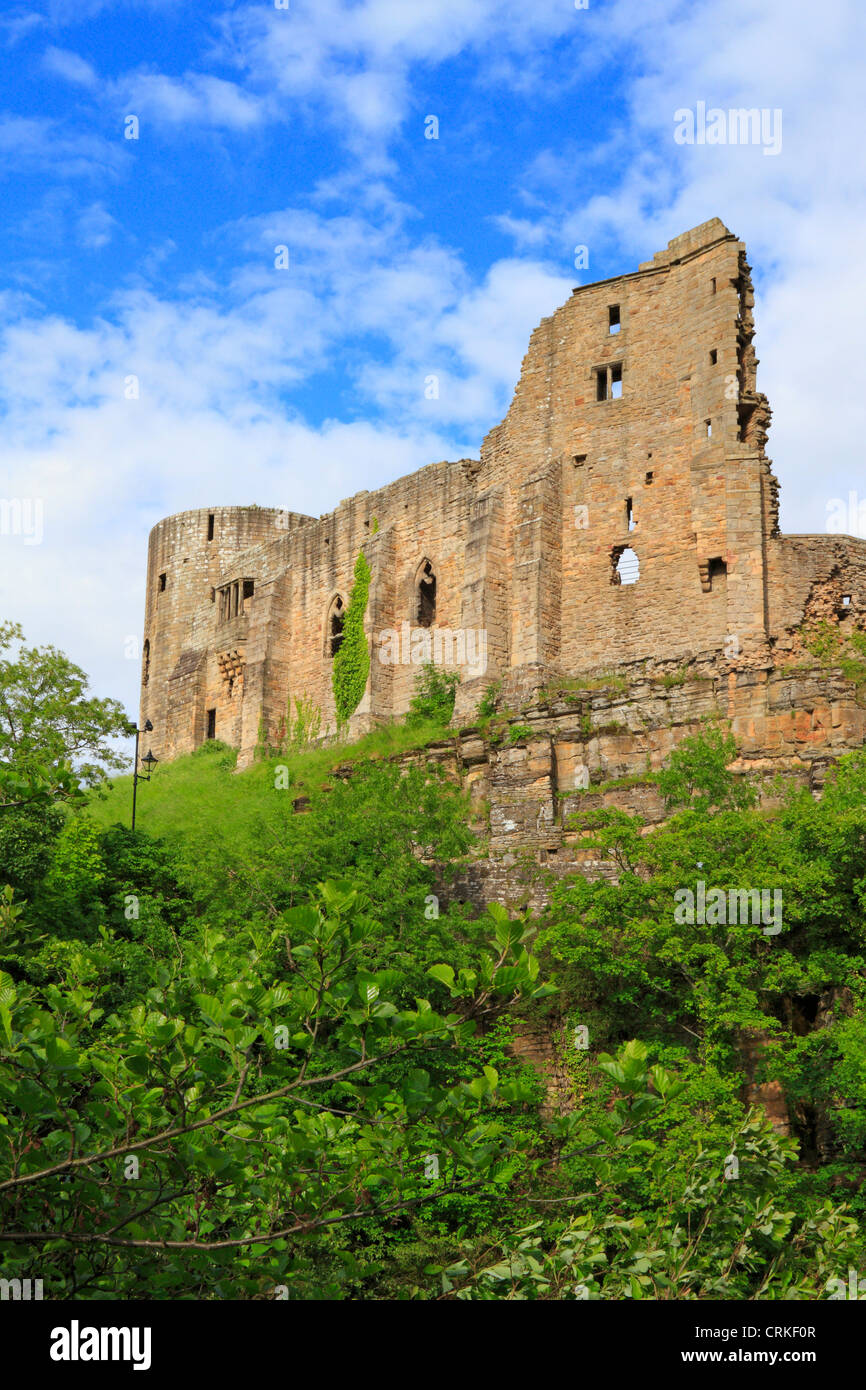 Teesdale, Barnard Castle, County Durham, England, UK. Banque D'Images