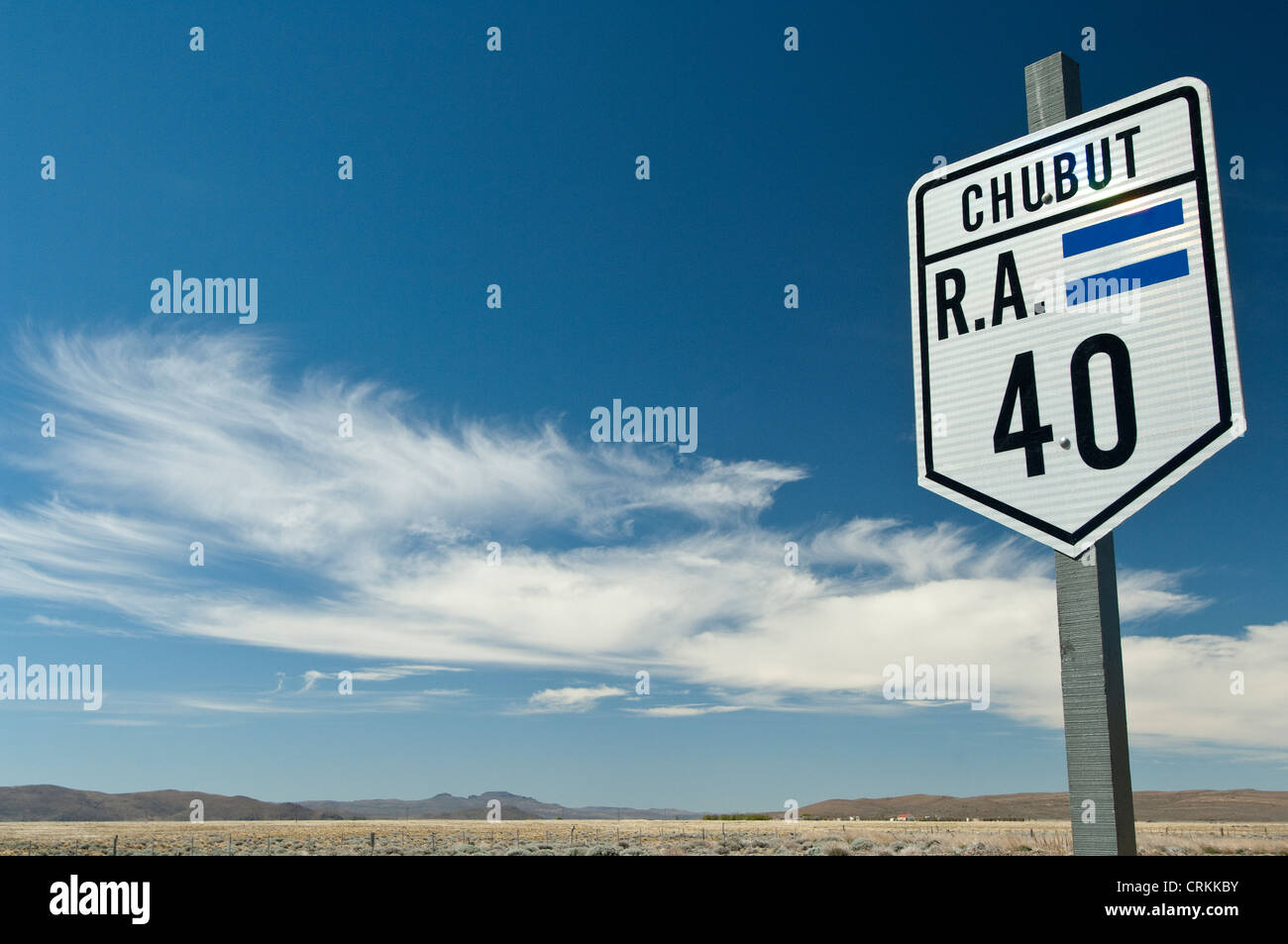 Route 40 road sign Provence Chubut, Patagonie, Argentine, Amérique du Sud Banque D'Images
