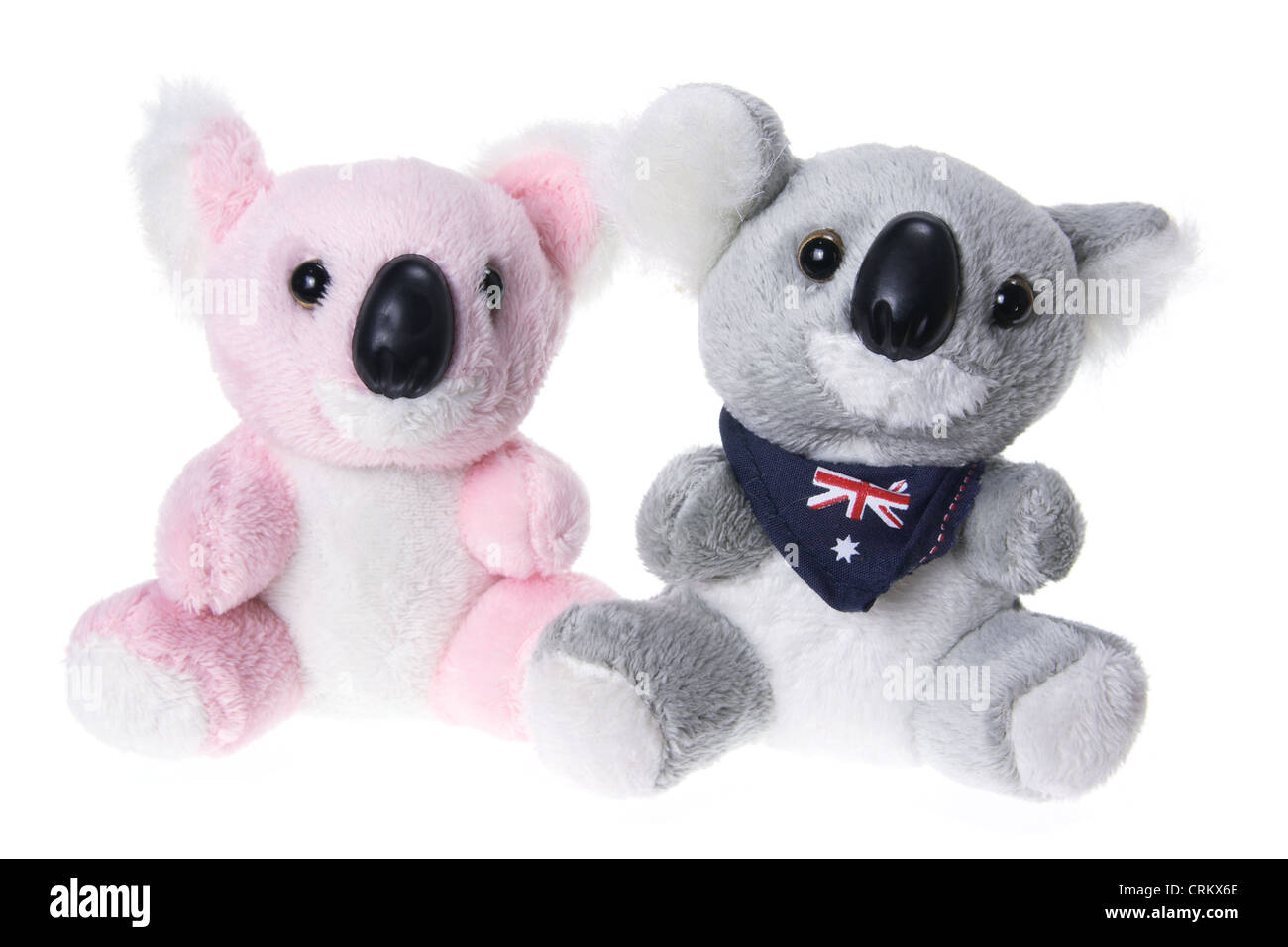Peluche Koalas Banque D'Images