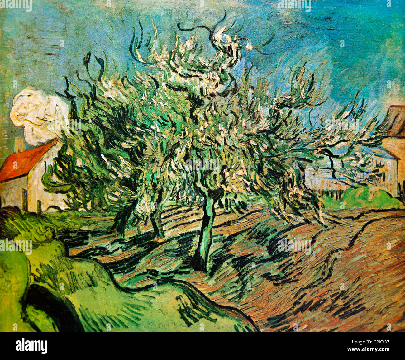 Trois arbres et une maison - Van Gogh Banque D'Images