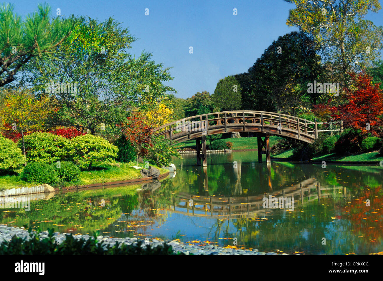 Panneaux en bois pont sur étang dans le Jardin Botanique du Missouri, Saint-Louis, USA Banque D'Images